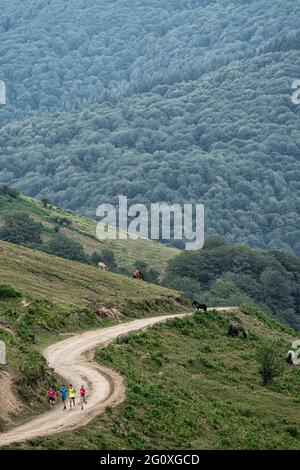 Gruppo di corridori che corrono su un sentiero lungo belle strade di montagna. Foto Stock