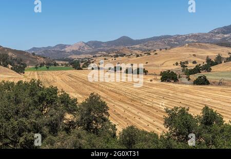 Santa Inez, CA, USA - 3 aprile 2009: Seminario di San Lorenzo. Valle secca gialla con balle di fieno appena raccolte, altri campi verdi, montagne e blu Foto Stock