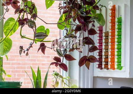 Armadi Da Cucina Con L'angolo Del Caffè Nella Casa Moderna Immagine Stock -  Immagine di lusso, marmo: 40734397