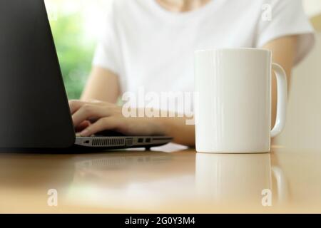 Imprenditrice utilizzando Laptop In Coffee Shop Foto Stock