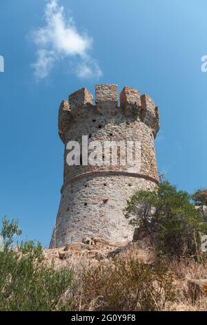 Foto verticale della torre Campanella una delle torri genovesi in Corsica, una serie di forti costieri costruiti dalla Repubblica di Genova tra il 15 Foto Stock