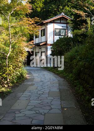 Minamiaso, Giappone - 6 novembre 2016: Passerella che conduce alle sorgenti Shirakawa nel Parco Nazionale Aso-Kuju Foto Stock