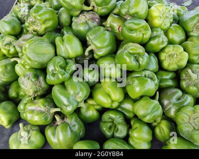 Qualsiasi pianta del genere Capsicum (della famiglia Solanaceae, che non è legata a Piper), e il suo frutto; pepe rosso; peperoncino. . Foto Stock