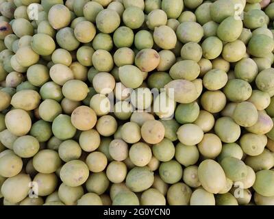 Il limone è una specie di piccolo albero sempreverde della famiglia delle piante in fiore Rutaceae, originaria dell'Asia meridionale, principalmente dell'India nordorientale Foto Stock