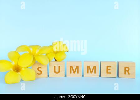 Benvenuto e benvenuto nella stagione estiva. Parola d'estate su blocchi di legno con fiori gialli luminosi. Foto Stock