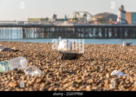 Brighton, 1 giugno 2021: La cucciolata lasciata dietro sulla spiaggia di Brighton la mattina dopo che i viaggiatori di giorno sono venuto nelle loro migliaia per il lunedì meraviglioso di festa della Banca Foto Stock