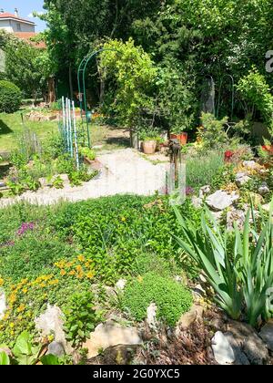 Piccolo giardino privato con verdure e fiori biologici in crescita, Bron, Francia Foto Stock