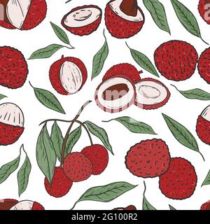 Modello senza cuciture con vettore di frutti di lychee. Sfondo con litchi colorati, interi e a metà, su un ramo e foglie. Disegno a mano. Frutto della Cina. Illustrazione Vettoriale