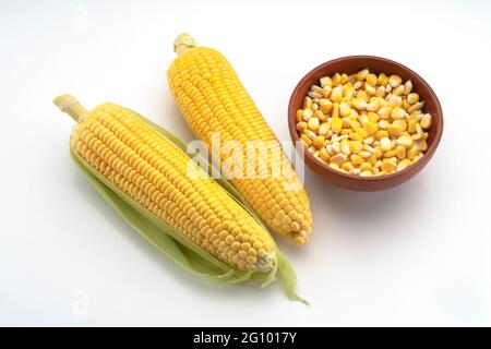 Vista dall'alto della finestra che mostra un paio di granturco dolce, mais, Zea Mays, con semi in ciotola di legno esposti su sfondo bianco, Foto Stock