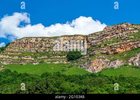 Verdi prati alpini nelle alture Foto Stock