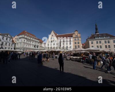 La città di Tallinn in Estonia Foto Stock
