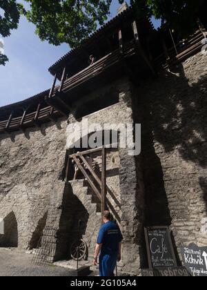 La città di Tallinn in Estonia Foto Stock