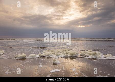 Spiaggia nei Paesi Bassi con bolle d'aria Foto Stock
