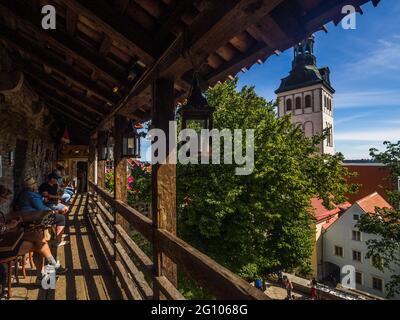 La città di Tallinn in Estonia Foto Stock