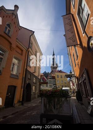 La città di Tallinn in Estonia Foto Stock
