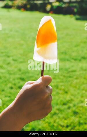 I popsicle surgelati sul bastone nella mano del bambino sullo sfondo dell'erba verde. Gelato con fette di arancia e limone. Verticale Foto Stock