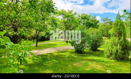 Bellissimo parco al mattino still life Foto Stock