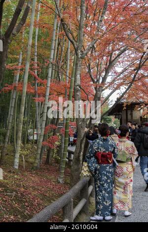 KYOTO, GIAPPONE - 11 dicembre 2019: Kyoto, Giappone-26 novembre 2019: I visitatori possono godersi l'autunno nei giardini Tenryuji ad Arashiyama, Kyoto, Giappone. Foto Stock