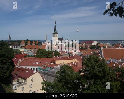 La città di Tallinn in Estonia Foto Stock