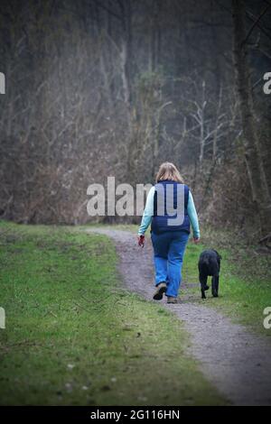 lone donna più grande che cammina cane nero giù deserta corsia di paese broome norfolk inghilterra Foto Stock