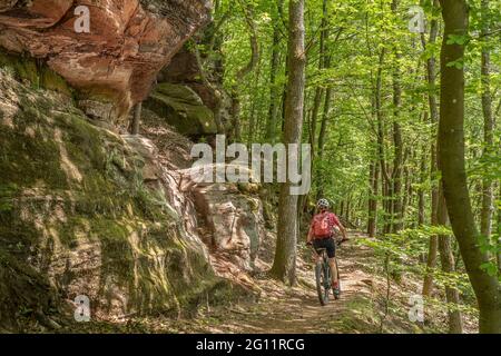 Donna nicesenior che cavalca la sua mountain bike elettrica su un sentiero roccioso nella foresta di Pfaelzerwald vicino alla città di Pirmasens nel Rheinland-Pfalz, in tedesco Foto Stock