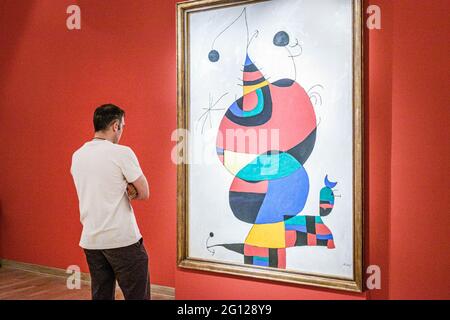 Argentina Buenos Aires Recoleta Museo Nacional de Bellas Artes National fine Arts Museo interno mostra mostra galleria Joan Miro pittura Foto Stock