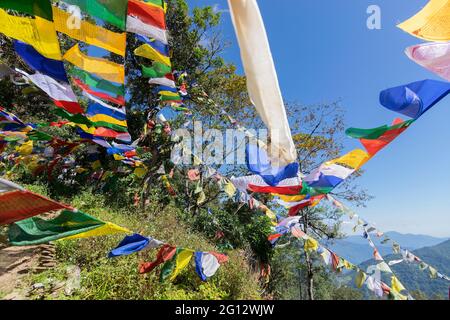 Volare colorate bandiere di preghiera religiosa buddista con foglie verdi e cielo blu sullo sfondo, Sikkim, India Foto Stock