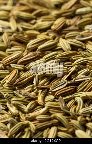 Semi di finocchio grezzo fatti in casa in un ciotola Foto Stock