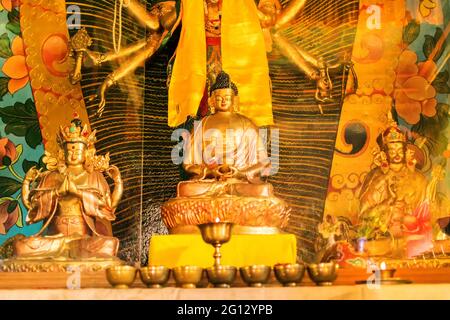 Faccia del Buddha di Goutama, simbolo religioso buddista, Monastero di Sikkim - Sikkim , India Foto Stock