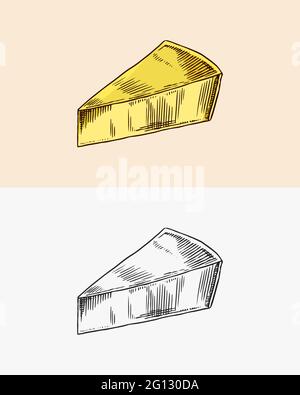 Formaggio per il mercato o negozio di alimentari. Latte organico fresco. Schizzo disegnato a mano con incisione vettoriale per etichetta, emblema, poster o menu. Illustrazione Vettoriale