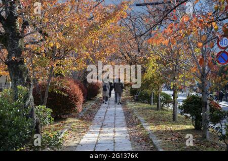 KYOTO, GIAPPONE - 10 dicembre 2019: Kyoto, Giappone - 24 novembre 2019: Percorso del filosofo con partenza in autunno a Kyoto. Foto Stock