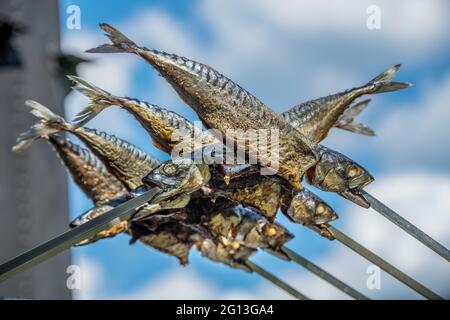 steckerlfisch è una specialità bavarese alla griglia, un pesce fresco intero viene arrostito su un bastone sopra un falò aperto. steckerlfisch è pesce alla griglia su un bastone Foto Stock