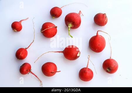 Appena raccolto red ravanelli, sfondo. Fresche biologiche mazzetto di rafano. Foto Stock