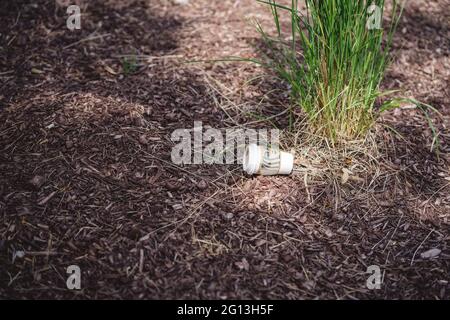 Cucciolata. Una tazza di caffè vuota si stende sui rifiuti coltivati e scartati e sulla spazzatura in natura. Foto Stock