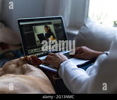 Fotografo montaggio in un computer portatile accanto a un cane in tempi pandemici Foto Stock