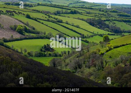 Exmoor National Park, North Devon, Inghilterra, Regno Unito Foto Stock