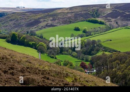 Exmoor National Park, North Devon, Inghilterra, Regno Unito Foto Stock