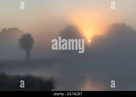 Il sole sorge sugli alberi in una mattinata molto nebbiosa vicino a un tranquillo stagno Foto Stock