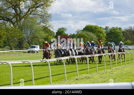 Cavalli e jockey che si allogano lungo il corso dal solco sette inizio verso la fine a York Racecourse. Foto Stock