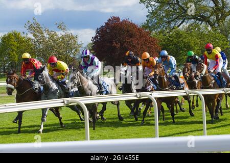 Cavalli e jockey che si allogano lungo il corso dal solco sette inizio verso la fine a York Racecourse. Foto Stock