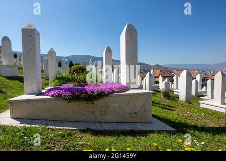 Cimitero musulmano di Kovaci dedicato alle vittime della guerra bosniaca, a Sarajevo, Bosnia-Erzegovina. Foto Stock