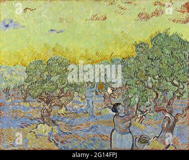 Vincent Van Gogh - Olive Grove con due raccoglitori di olive Foto Stock