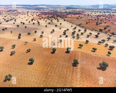 Vista aerea dei campi coltivati a Castilla la Mancha, Spagna. Foto Stock