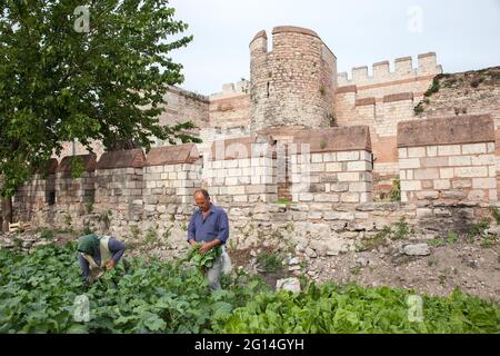 Fatih, Istanbul-Turchia - 05-20-2017 :Vista delle mura storiche della città di Istanbul e orto Foto Stock