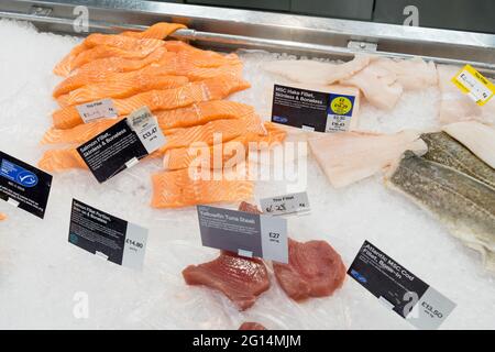 Pesce fresco crudo, filetto di salmone in vendita, taglio pronto, banco Tesco Supermarket Fishmonger, Inghilterra, UK Foto Stock