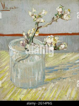 Vincent van Gogh - sprig di mandorla fiorita in un bicchiere Foto Stock