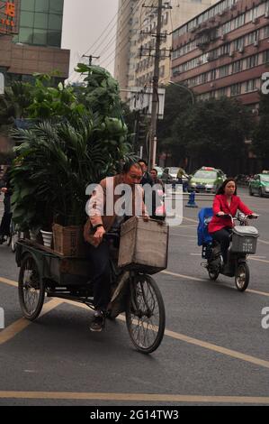 Un uomo porta una grande pianta verde su una bici da carico vintage lungo la strada centrale di una città cinese, accanto a una ragazza su un moderno scooter Foto Stock