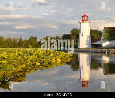 faro sul lago con giglio pads Foto Stock