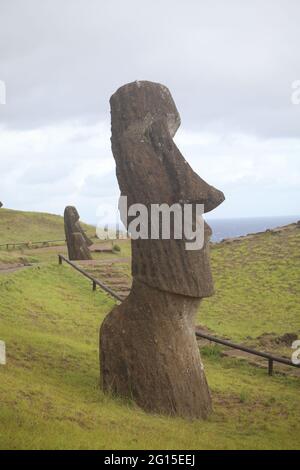 Moais alla cava sul versante del Rano Raraku Vulcano, Parco Nazionale di Rapa Nui, Isola di Pasqua, Cile Foto Stock