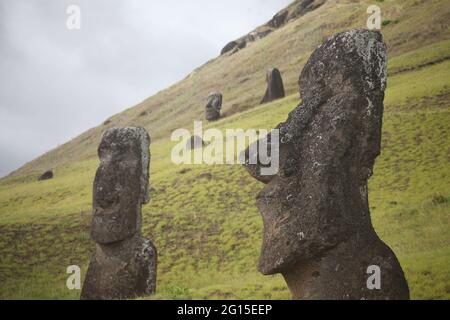 Moais alla cava sul versante del Rano Raraku Vulcano, Parco Nazionale di Rapa Nui, Isola di Pasqua, Cile Foto Stock